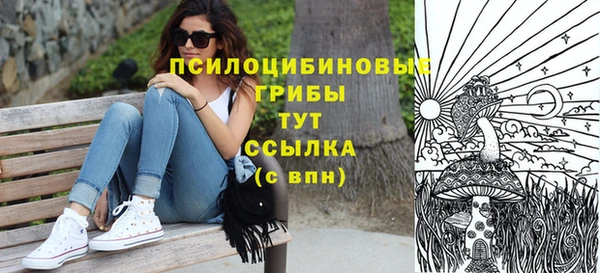 синтетический гашиш Зеленокумск